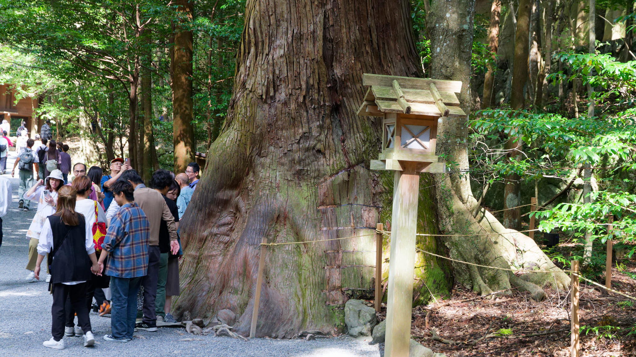 08-Kumano Kodo (3).jpg